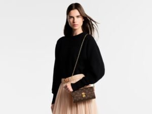 Louis Vuitton Pochette Camille M13566