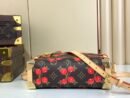 Louis Vuitton LV x TM Side Trunk MM M14278