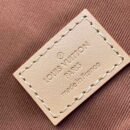 Louis Vuitton Christopher MM N40564