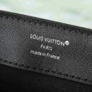 Louis Vuitton Dauphine Soft Vibe MM M13450