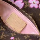Louis Vuitton LV x TM Papillon M13097