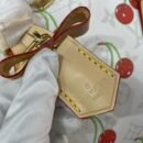 Louis Vuitton LV x TM Speedy Soft Bandoulière 30 M14238