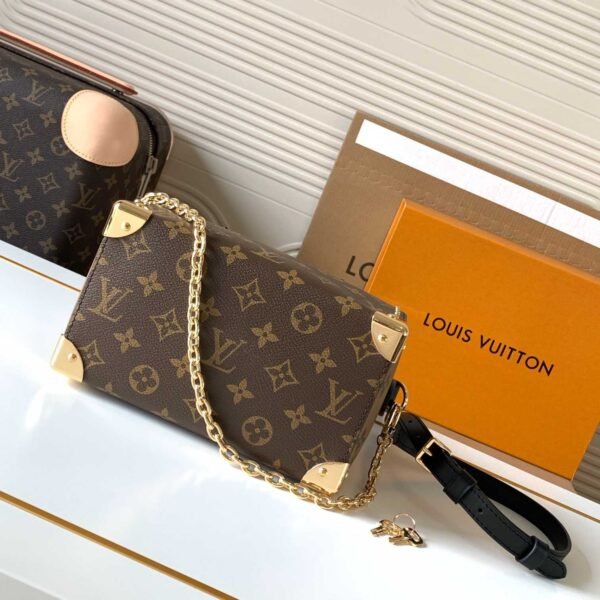 Louis Vuitton Speedy Trunk 20 M13146 - Image 5