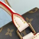 Louis Vuitton Montsouris MM M11197
