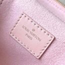 Louis Vuitton Vanity Pouch M11298
